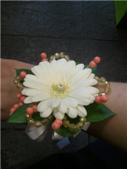 Gerbera/coral bead wristcorsage